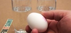 An easy way to check the freshness of a chicken egg