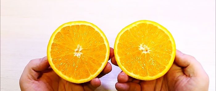 Citrus juicer made from plastic bottles