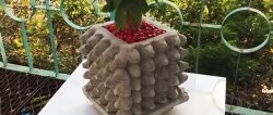 Flower pot made of cement and egg trays