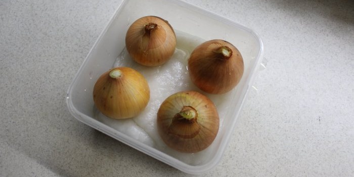 How to grow green onions and garlic on a windowsill