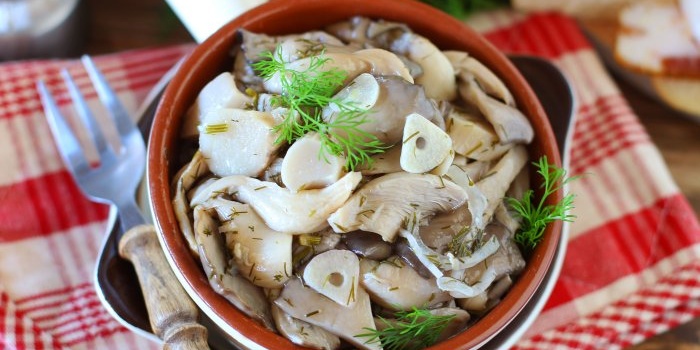 Awesome oyster mushroom appetizer