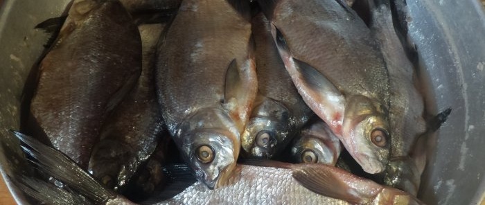 How to dry bream correctly