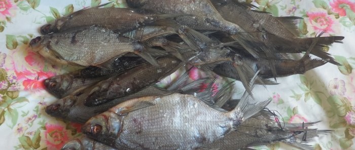 How to dry bream correctly