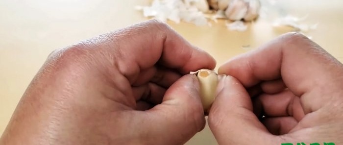 Peeling garlic cloves with bare hands quickly and without a knife