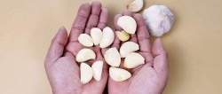 Peeling garlic cloves with bare hands quickly and without a knife