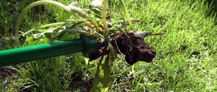 How to make a device for removing weeds by the root