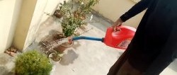 How to quickly and cheaply make a garden watering can from unnecessary trash