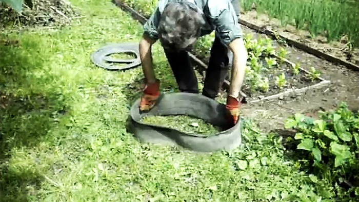 How to use car tires in the garden