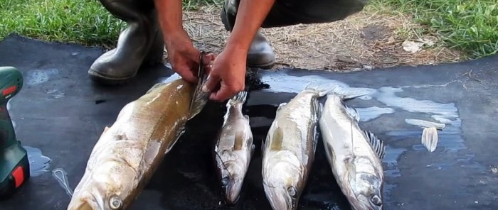 We clean the catch with a screwdriver right while fishing in a couple of minutes