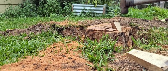 How to remove a large stump using a wedge is easy