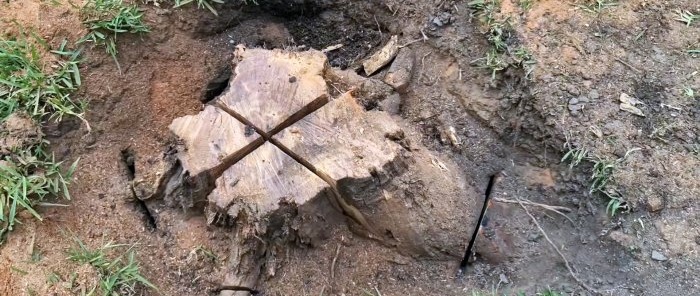 How to remove a large stump using a wedge is easy