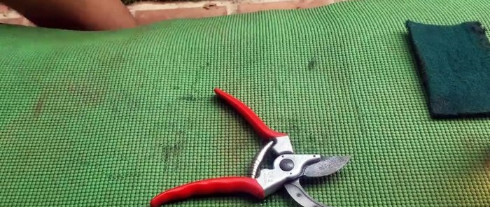 How to restore rusty garden shears without disassembly