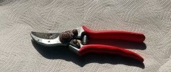 How to restore rusty garden shears without disassembly