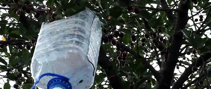 Tricky cherry picker from PET bottles in 5 minutes