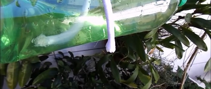 How to make an automatic watering system from an ordinary bottle