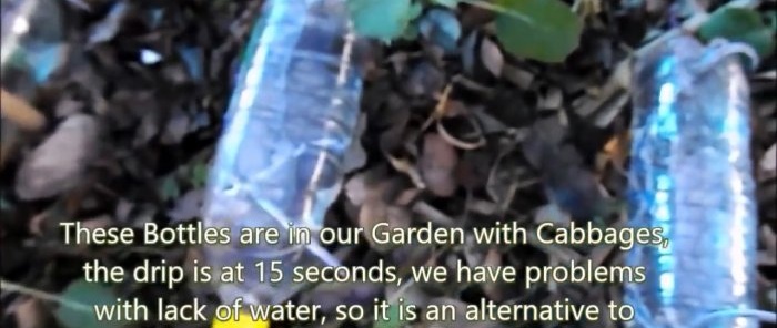 How to make an automatic watering system from an ordinary bottle