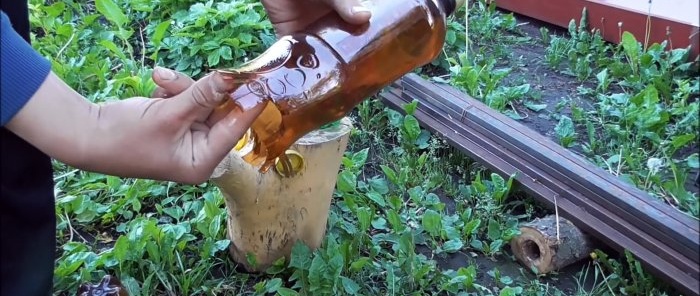 How to make a beautiful palm tree for the garden from PET bottles