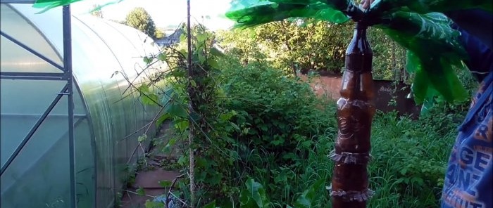 How to make a beautiful palm tree for the garden from PET bottles