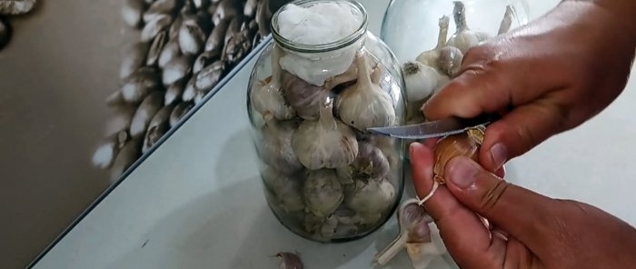 After a year of storage, fresh garlic is the best way to preserve the harvest.