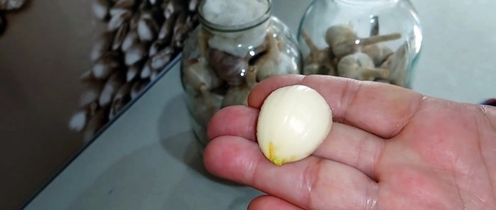 After a year of storage, fresh garlic is the best way to preserve the harvest.