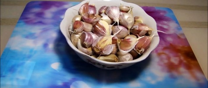 How to preserve garlic for the whole year - advice from an experienced housewife