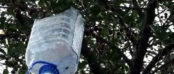 Tricky cherry picker from PET bottles in 5 minutes