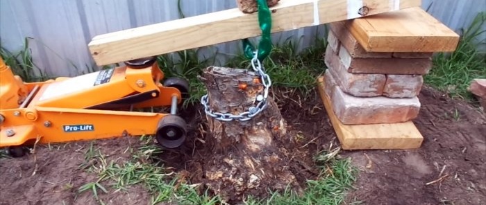 How to remove a tree stump using a car jack