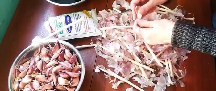 How and when to plant garlic in winter for a big harvest