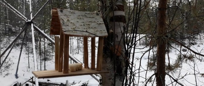 How to make a house for guinea pigs