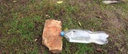 The simplest mousetrap made from a PET bottle in 1 minute