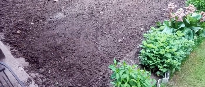 We plant cucumbers under film and forget about watering for the whole season