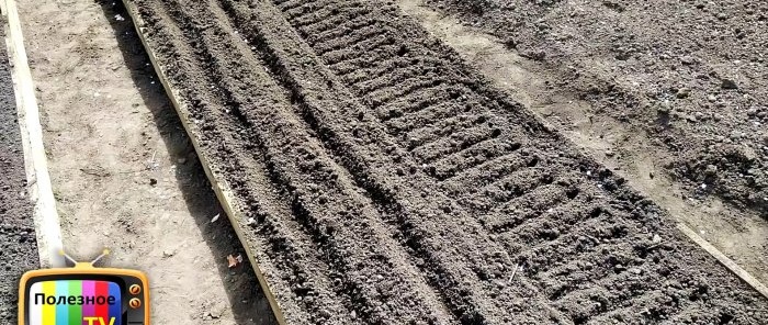 Life hack for gardeners: quick planting of carrots without thinning