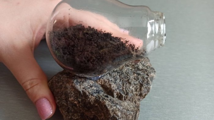 How to make a terrarium in a light bulb