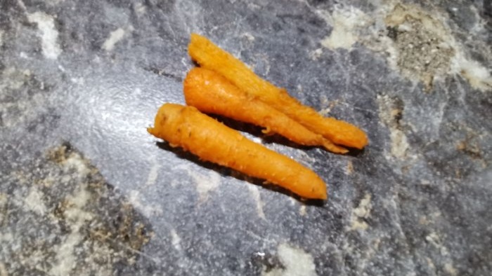 Life hack for housewives: why do I freeze unwashed carrots and what are the advantages of this type of storage?