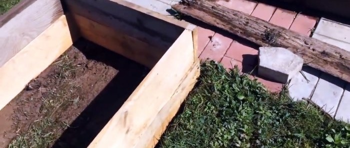 How to plant potatoes in boxes and collect a bucket from a bush