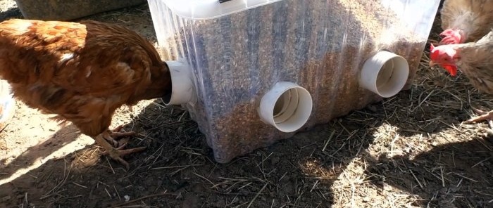 Chicken feeder that is filled once a week