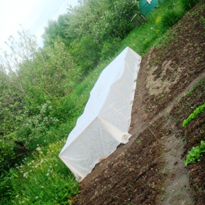 Life hack on how to quickly build a simple greenhouse at the dacha with your own hands