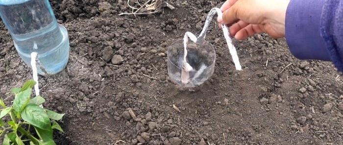 Drip irrigation system for 30 days from a plastic bottle