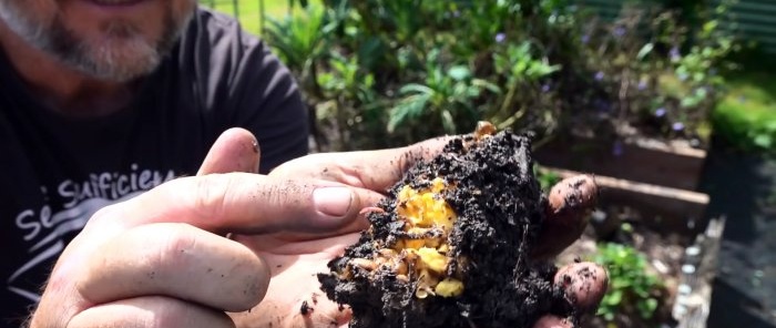 How to turn food waste into extremely useful fertilizer