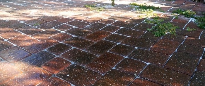 How to get rid of weeds between paving slabs in a cheap, environmentally friendly and stress-free way