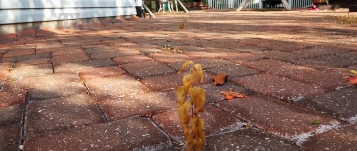 How to get rid of weeds between paving slabs in a cheap, environmentally friendly and stress-free way