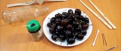 5 ways to remove pits from cherries without special gadgets