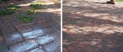 How to get rid of weeds between paving slabs cheaply, environmentally friendly and without stress