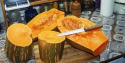 Two delicious desserts made from one pumpkin: marmalade and candied fruits