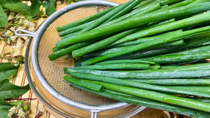 Ways to freeze green onions throughout the winter