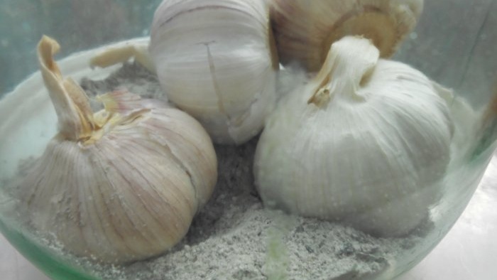 6 proven ways to preserve garlic throughout the winter in your apartment