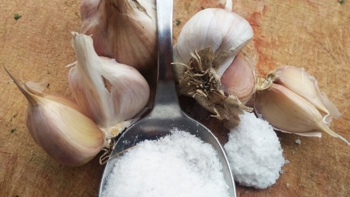 How and why to use rock salt when planting garlic