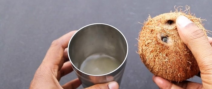 2 life hacks How to easily peel or split a coconut