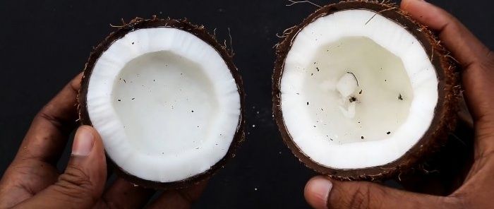 2 life hacks How to easily peel or split a coconut