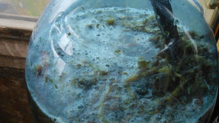 Useful liquid fertilizer from nettles with your own hands